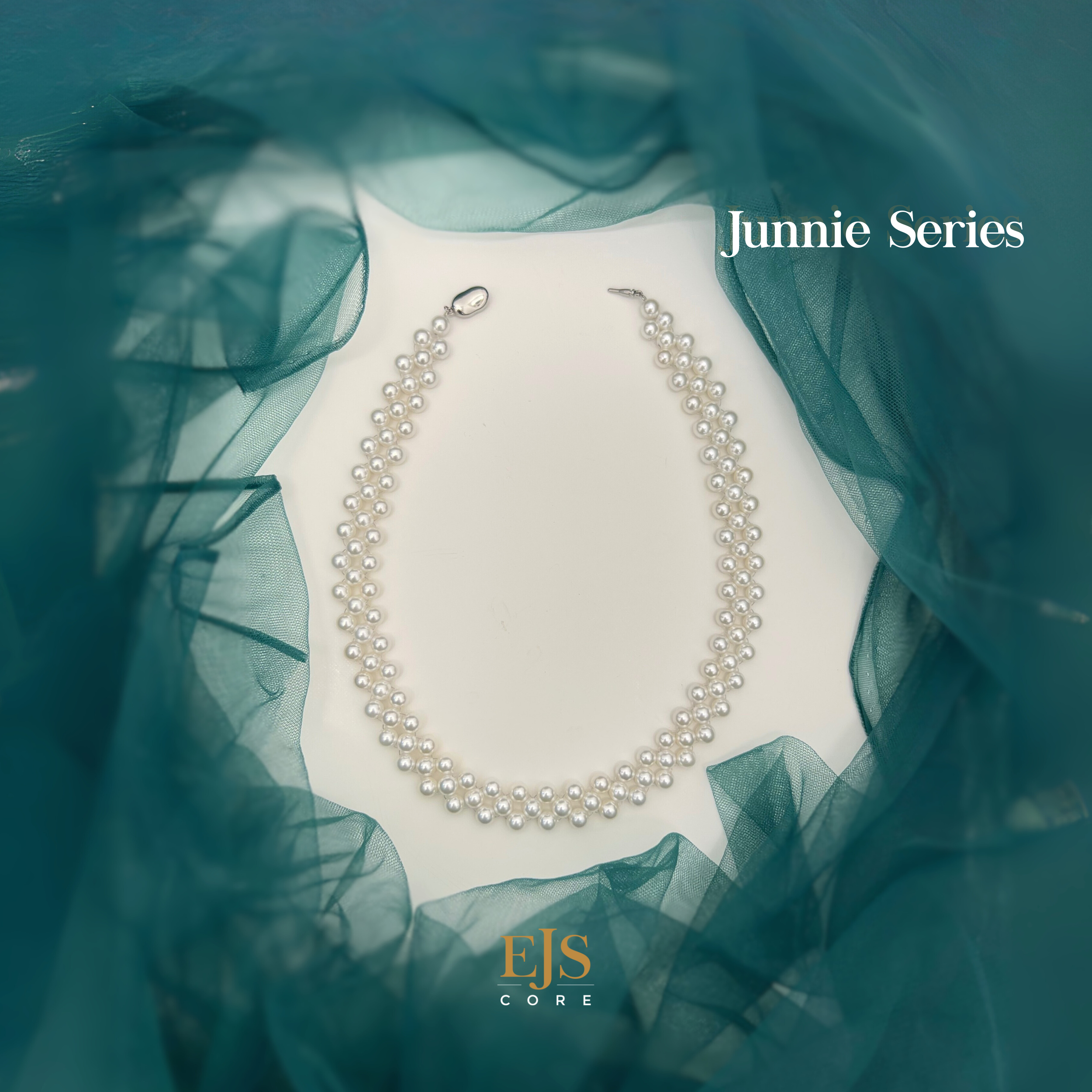 Junnie Series Workshop