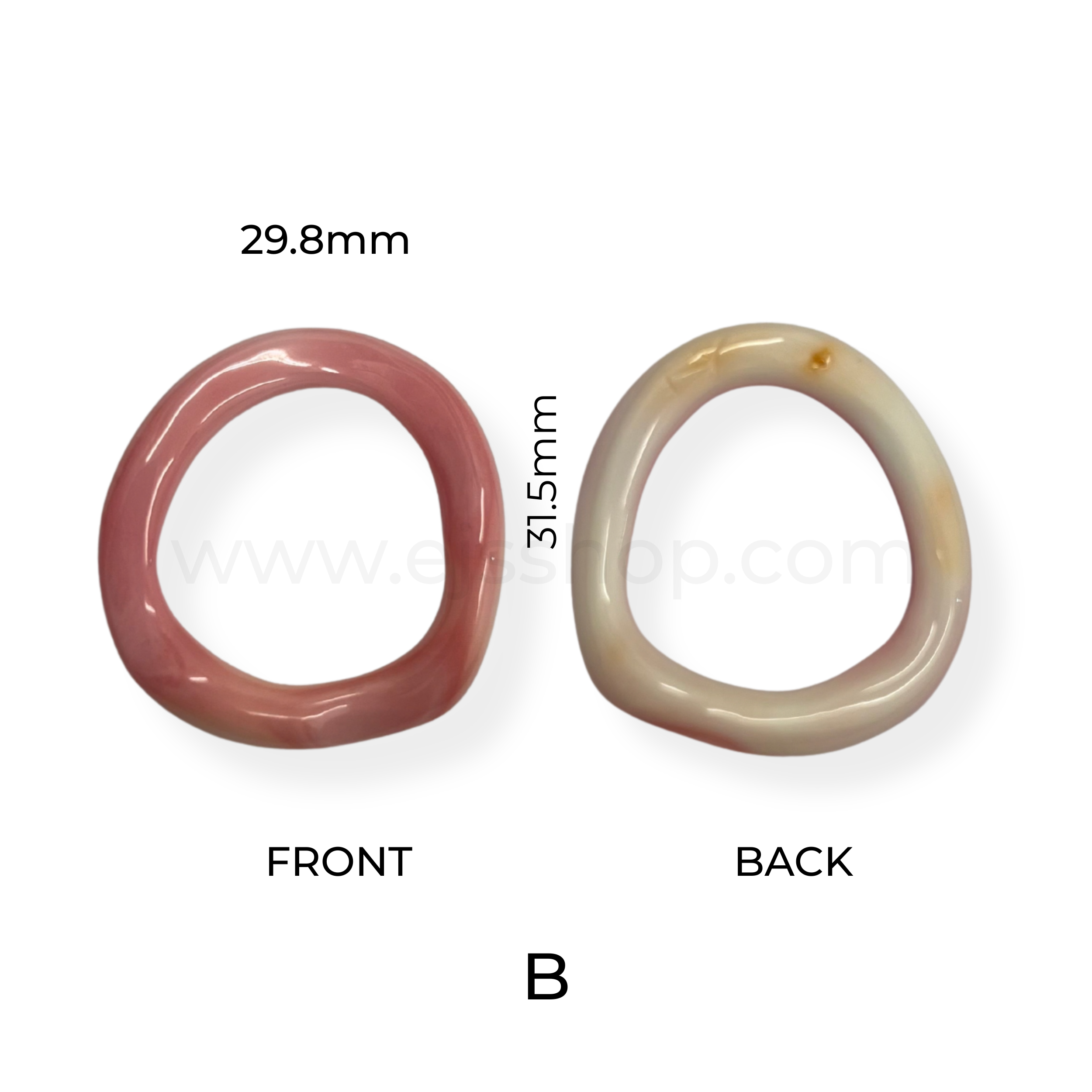 Puff Ring Swirly Oval Shape Conch Shell without hole 25mm-35mm