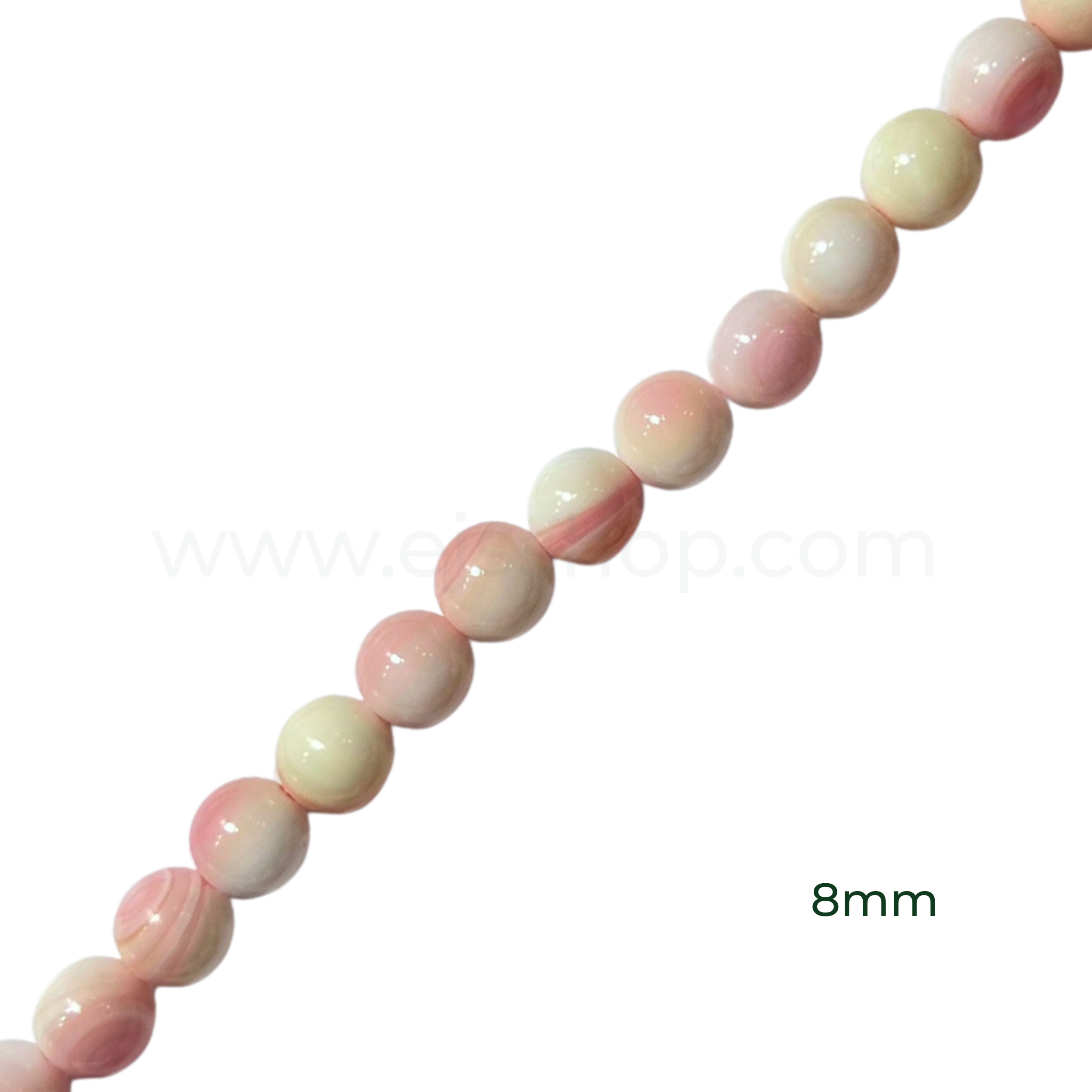 Round Conch Shell 8mm, 10mm