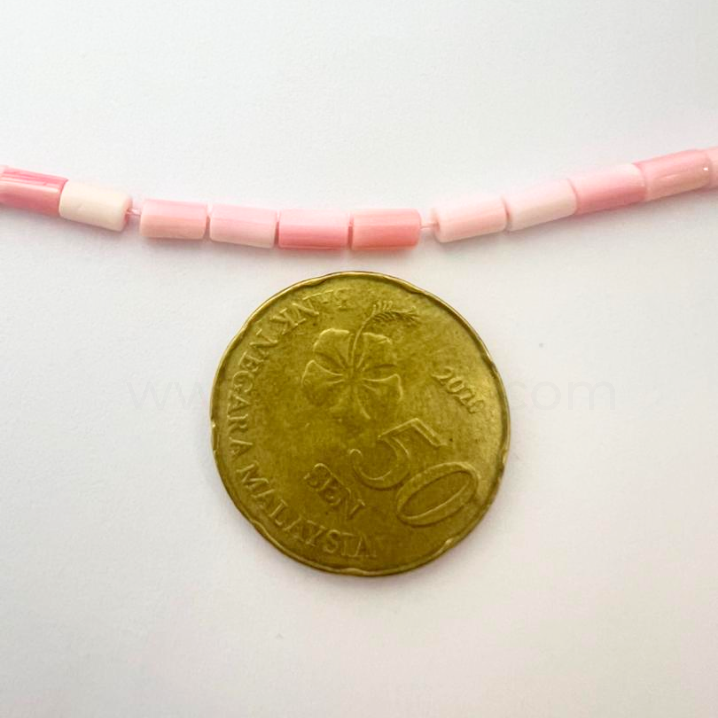 Tube Conch Shell 3x5mm