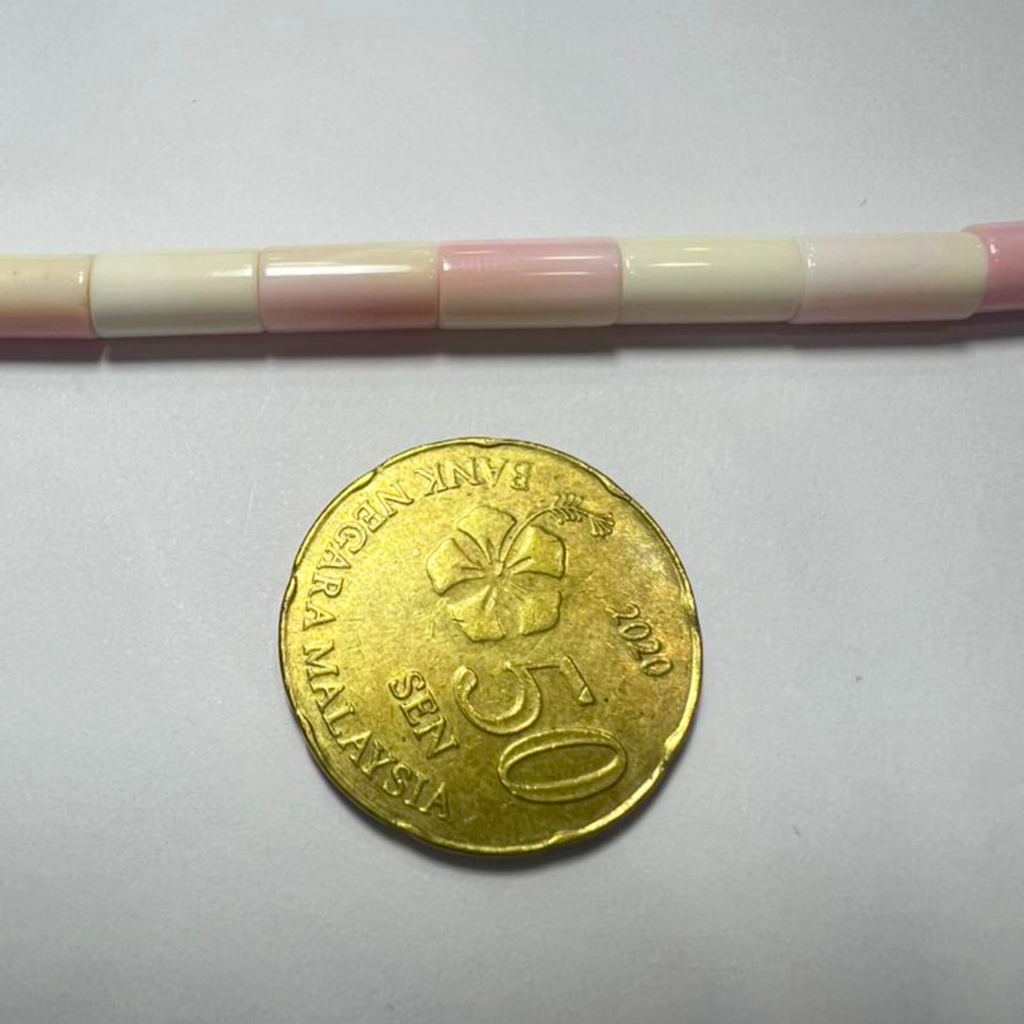 Tube Conch Shell Tube 5x10mm