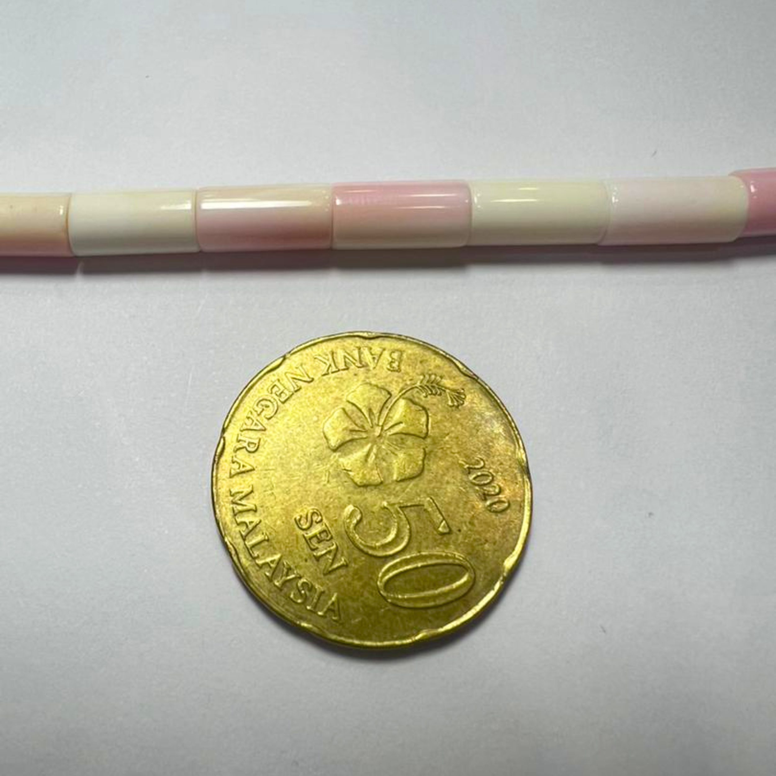 Tube Conch Shell Tube 5x10mm