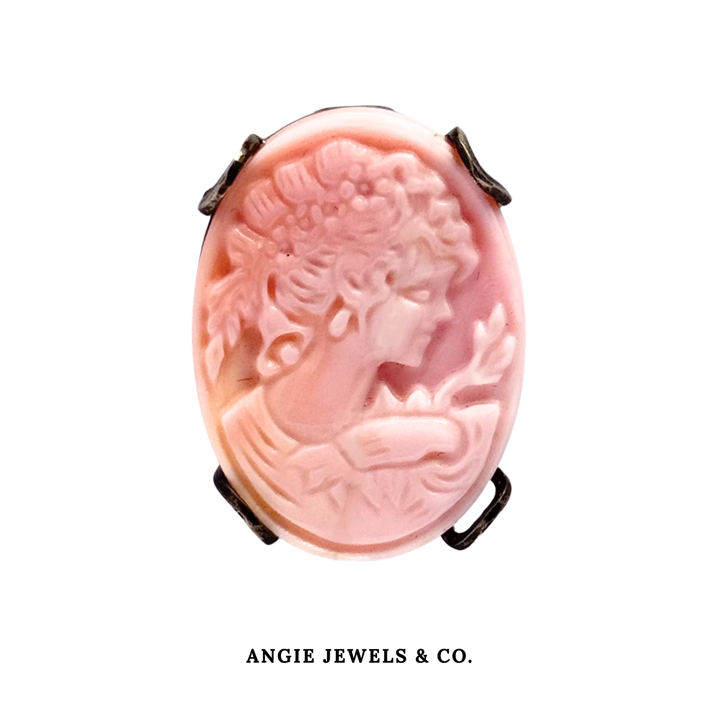 Pink Conch Shell Aphrodite Cameo Brooch
