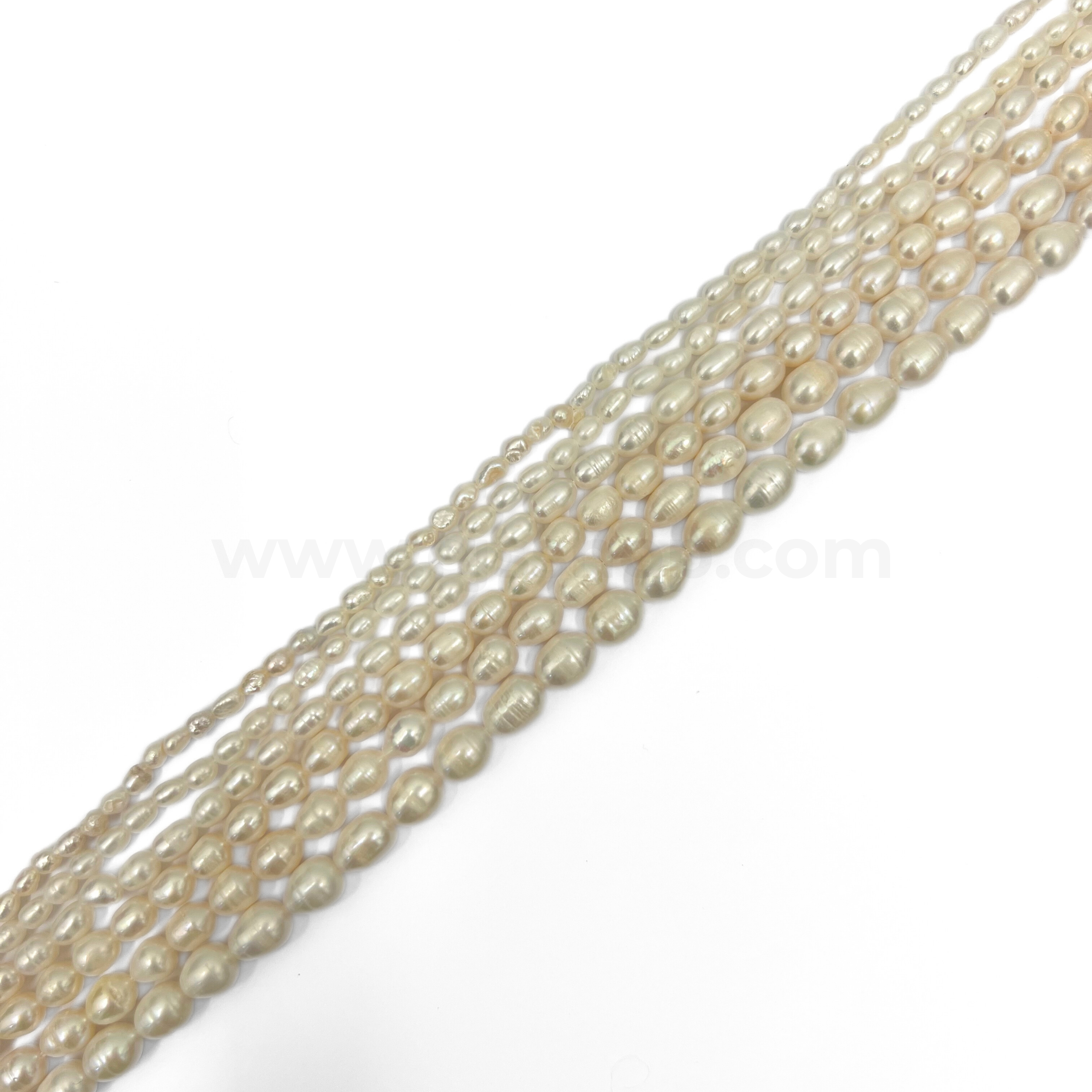 White Rice Freshwater Pearl