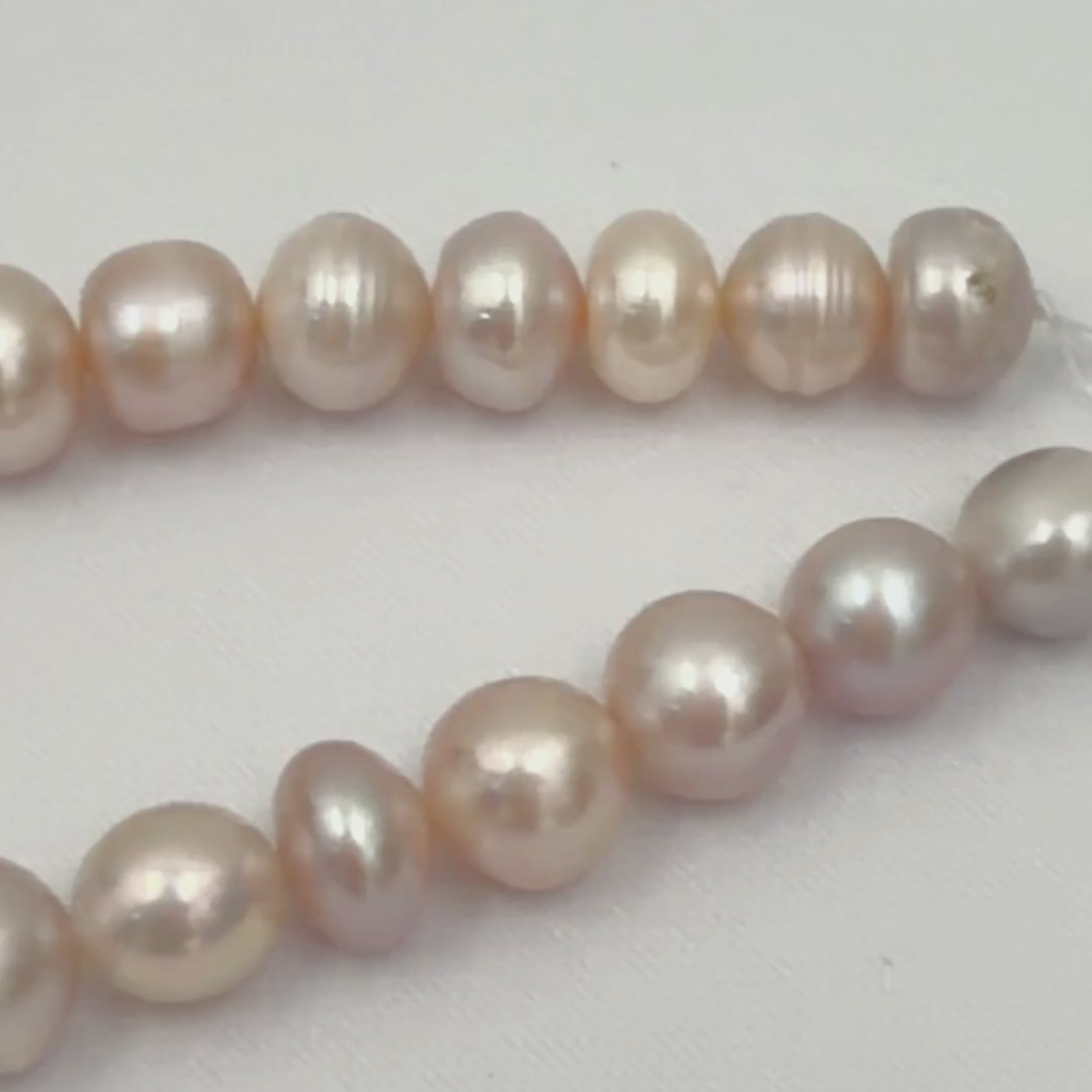 Pastel Round 11mm - 12mm Multicolour Grade A Freshwater Pearl