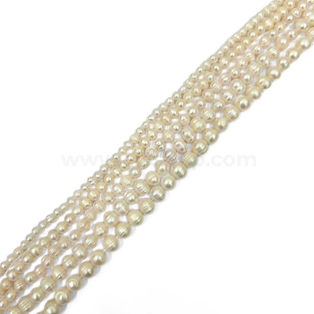 White Round Freshwater Pearl