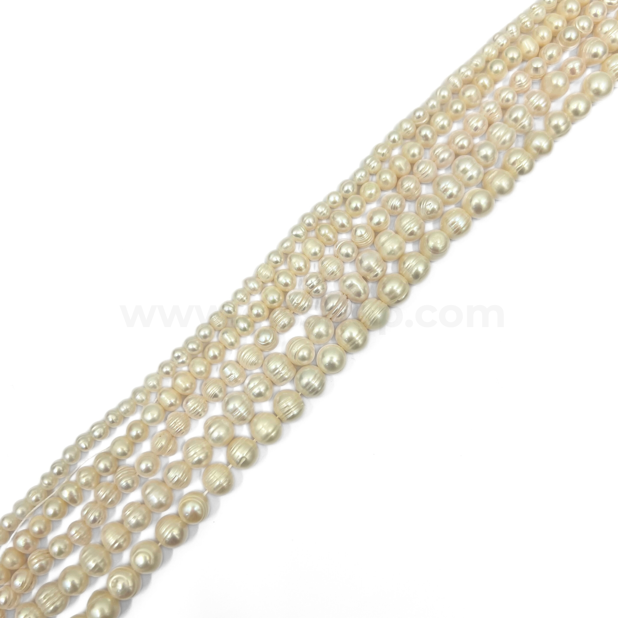 White Round Freshwater Pearl
